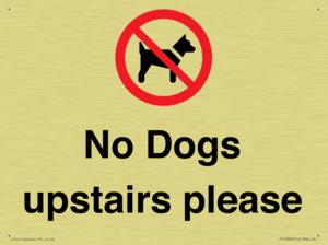 No Dogs upstairs please 
